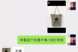 防城港如何避免债务纠纷？专业追讨公司教您应对之策